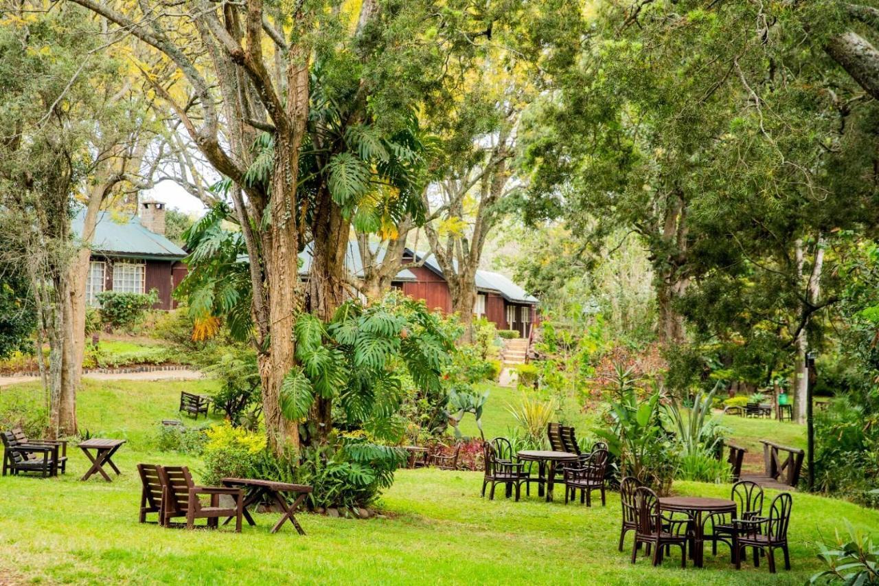 Naro Moru River Lodge Екстериор снимка