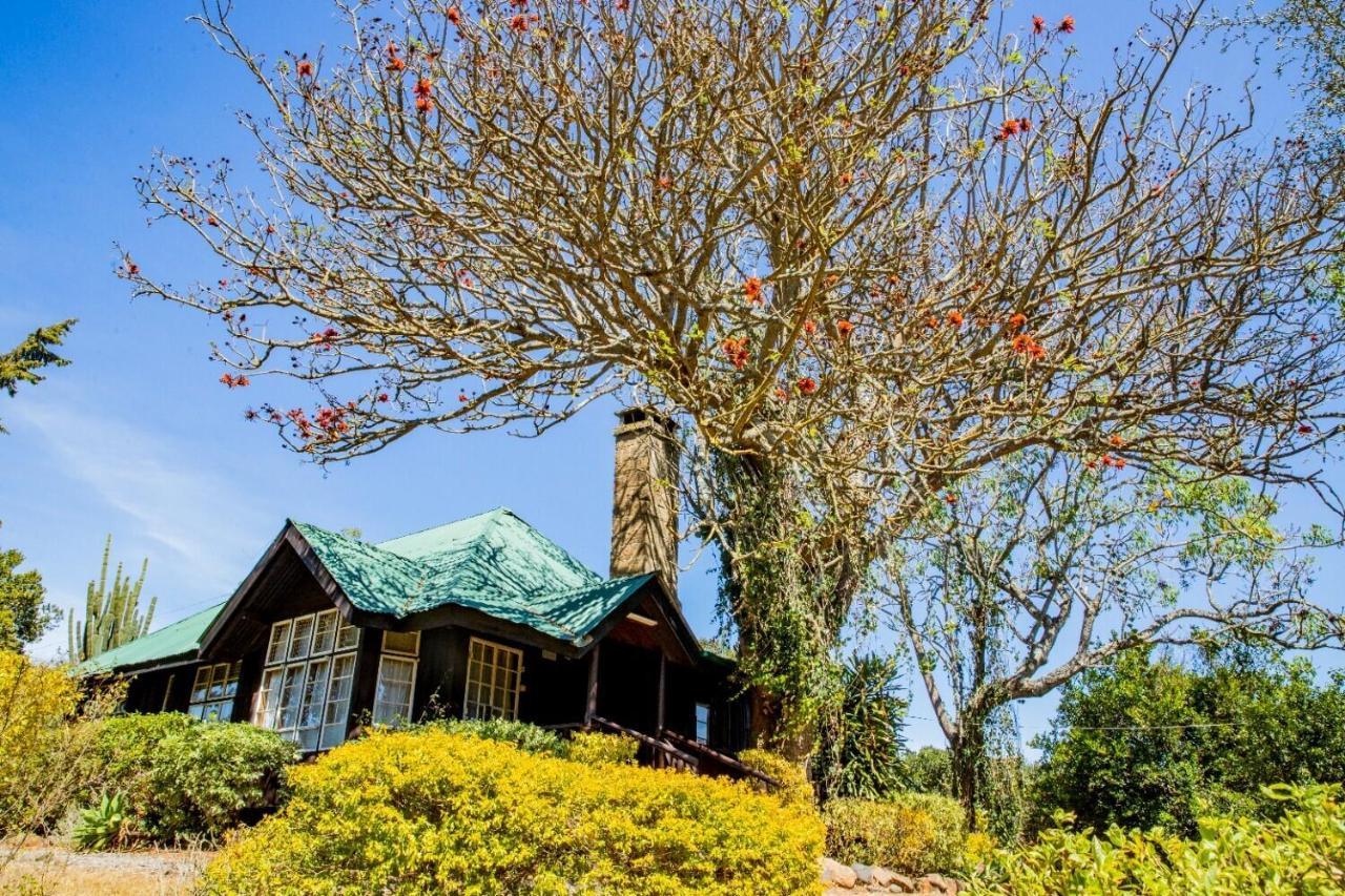 Naro Moru River Lodge Екстериор снимка