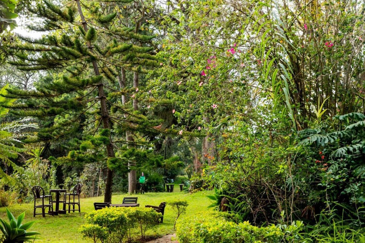 Naro Moru River Lodge Екстериор снимка